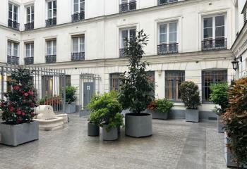 Location bureau Paris 9 (75009) - 25 m² à Paris 9 - 75009