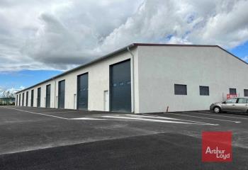 Location activité/entrepôt Carcassonne (11000) - 800 m² à Carcassonne - 11000