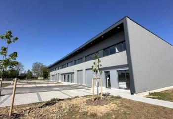 Location activité/entrepôt Geispolsheim (67118) - 374 m² à Geispolsheim - 67118