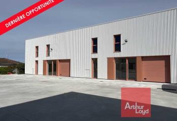 Location activité/entrepôt Mondouzil (31850) - 202 m² à Mondouzil - 31850