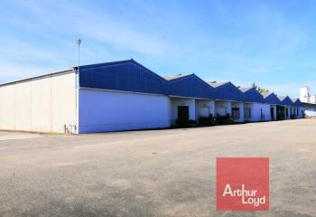 Location activité/entrepôt Montauban (82000) - 9500 m² à Montauban - 82000