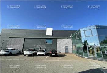 Location activité/entrepôt Tournefeuille (31170) - 2204 m²